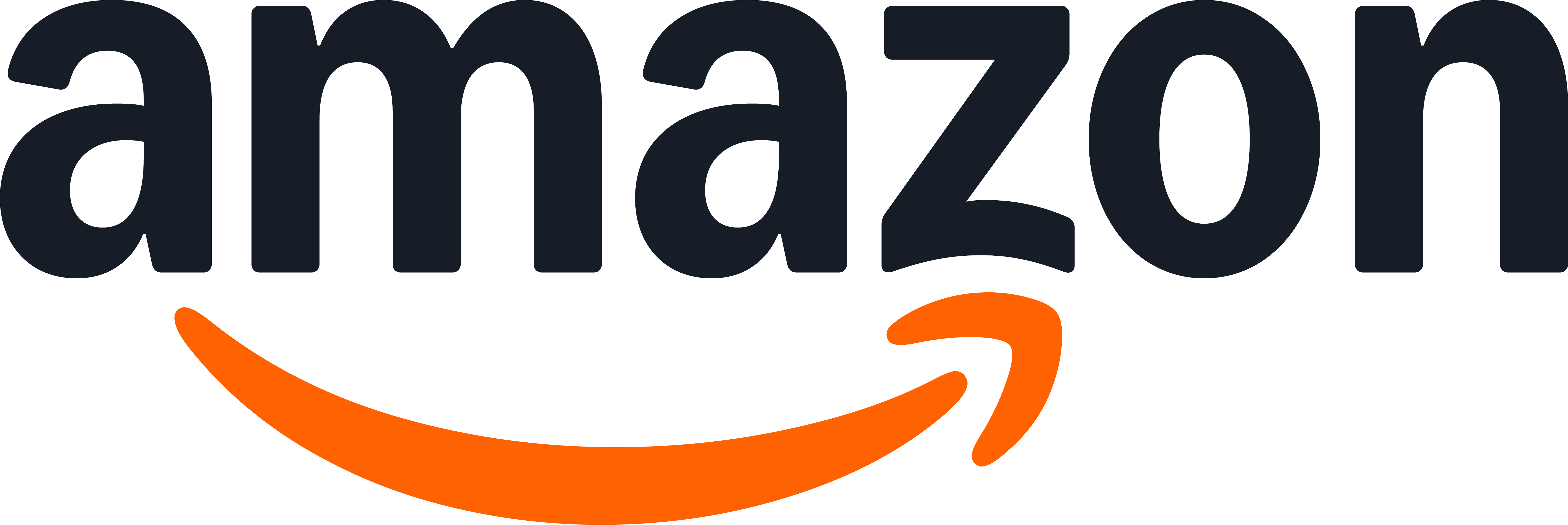 Amazon: From Online Bookstore to Global Technology and Commerce Platform